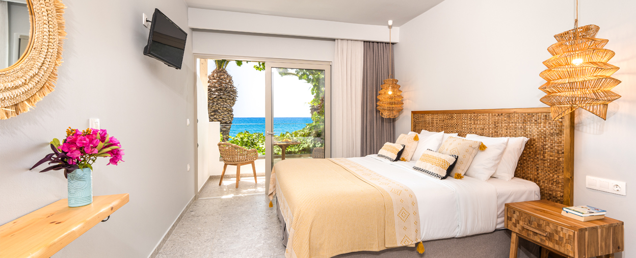 Palm Tree Collection - Cycas