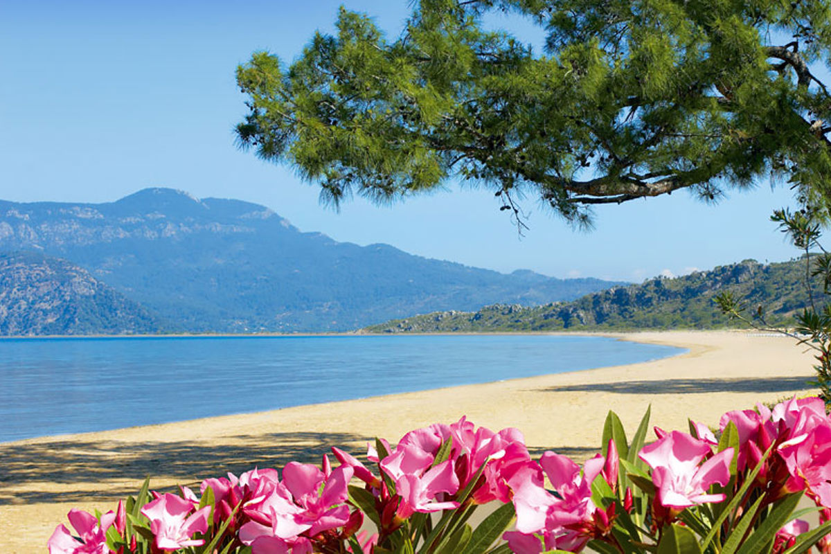 Spring holidays around the Mediterranean | Simpson Travel