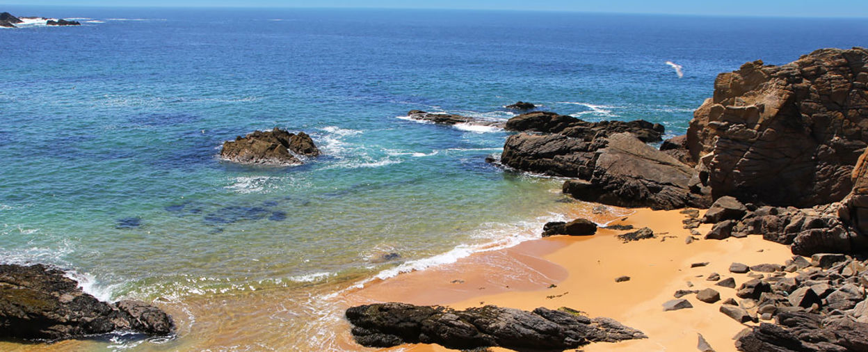 The virtues of the Vendée | Simpson Travel