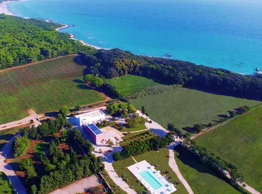 Masseria Mongiò dell Elefante Masseria Mongiò dell Elefante